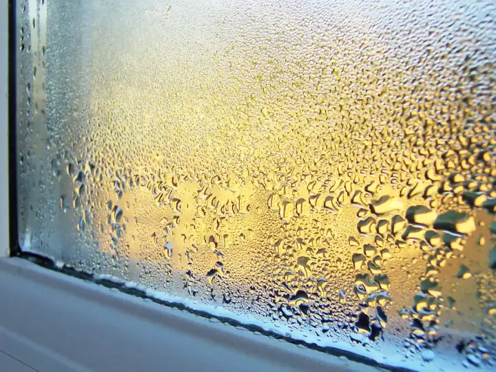 Condensation on a window