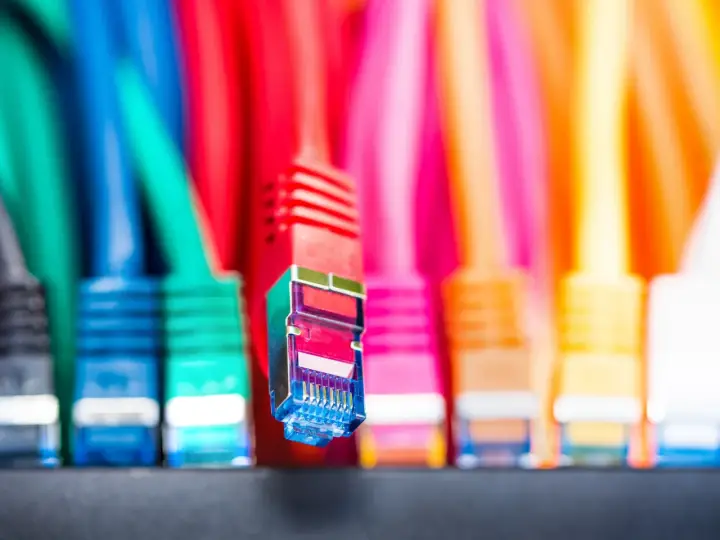 Many RJ-45 network cables of various colors are lined up next to each other