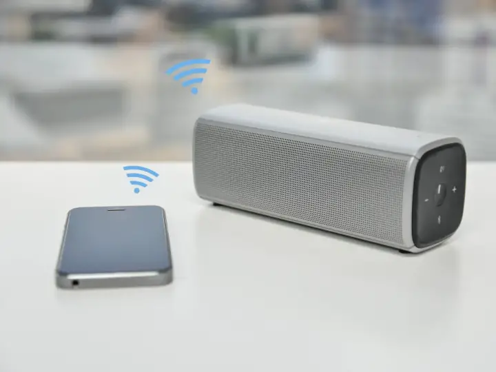 smart speaker without internet