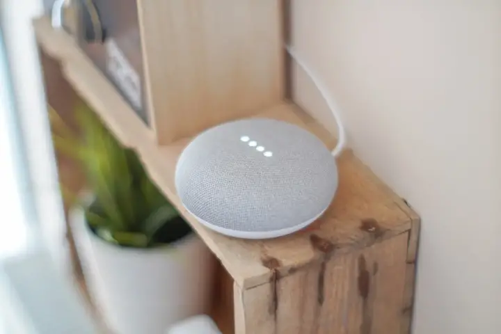 The Google assistant